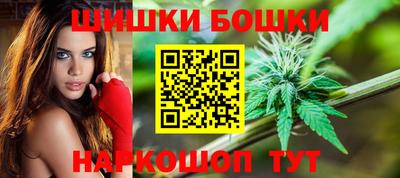 СК Камышлов