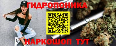 СК Камышлов