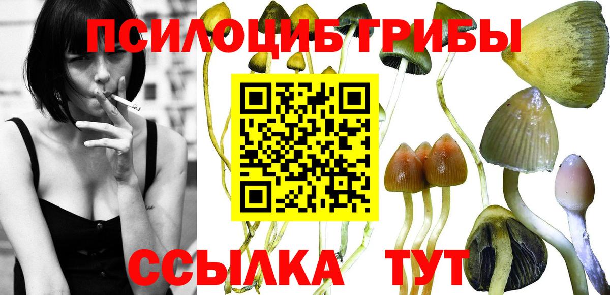 Галлюциногенные грибы Cubensis  Вход с VPN  Алапаевск 