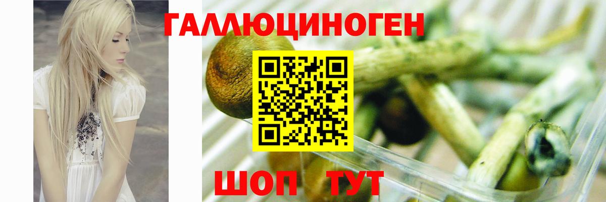 Галлюциногенные грибы ЛСД Алапаевск